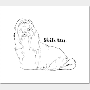 Shih tzu Posters and Art